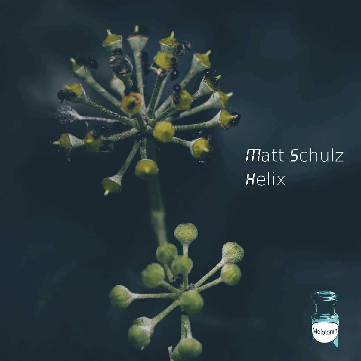 A Submerged Sonic Odyssey: “Helix” EP by Matt Schulz