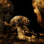 YOPO - Muddy Path