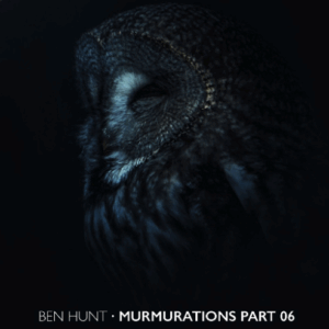 Murmurations Part 06