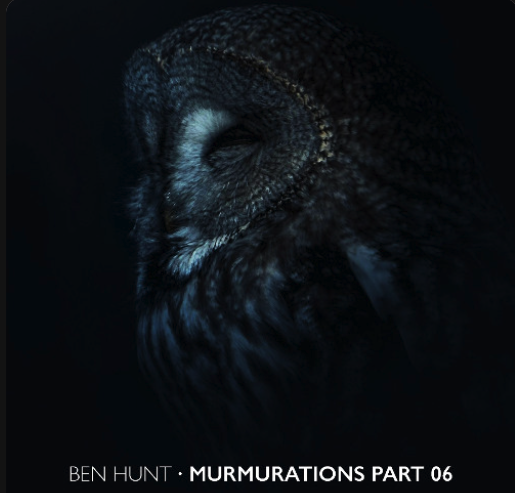 Murmurations Part 06
