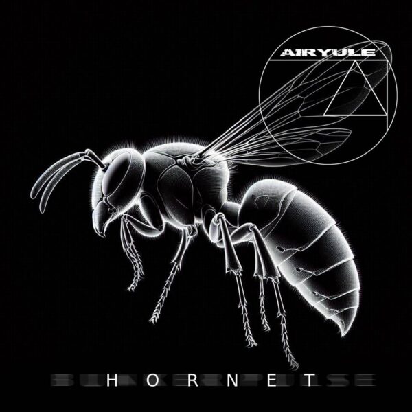 AIRYULE - HORNET