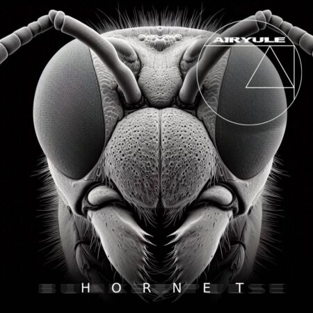 AIRYULE - HORNET - Image 2