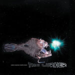 The Lurker (CCR03)
