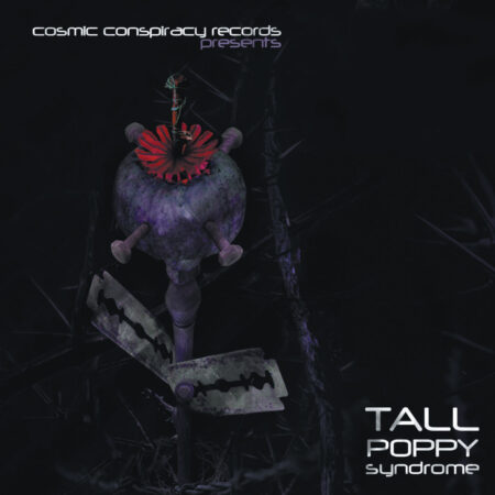 Tall Poppy Syndrome (CCR06)