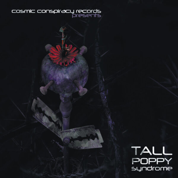 Tall Poppy Syndrome (CCR06)