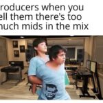 producers when you tell them there is too much mid in the mix